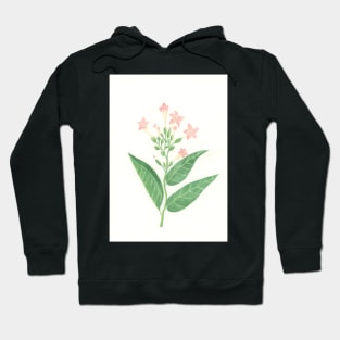 Tobacco Hoodie